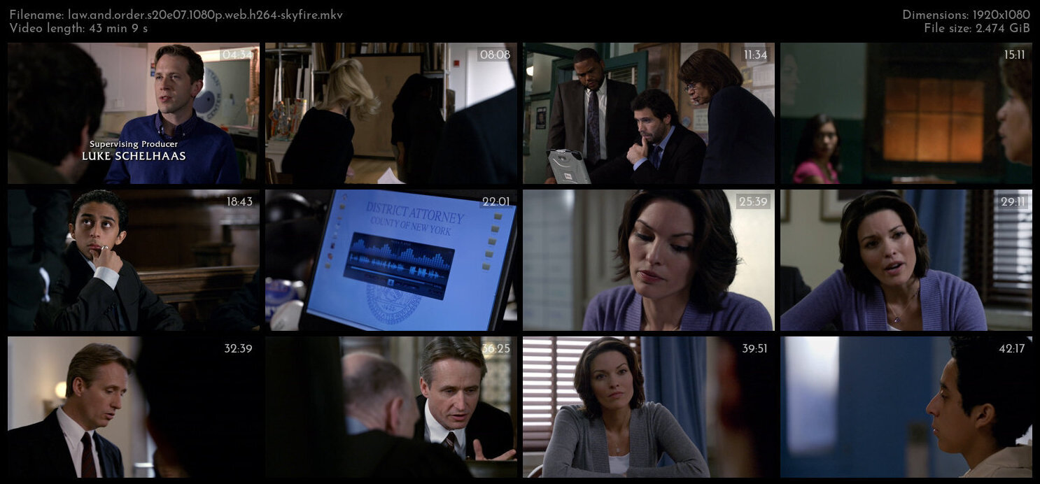 Law And Order S20E07 1080p WEB H264 SKYFiRE TGx