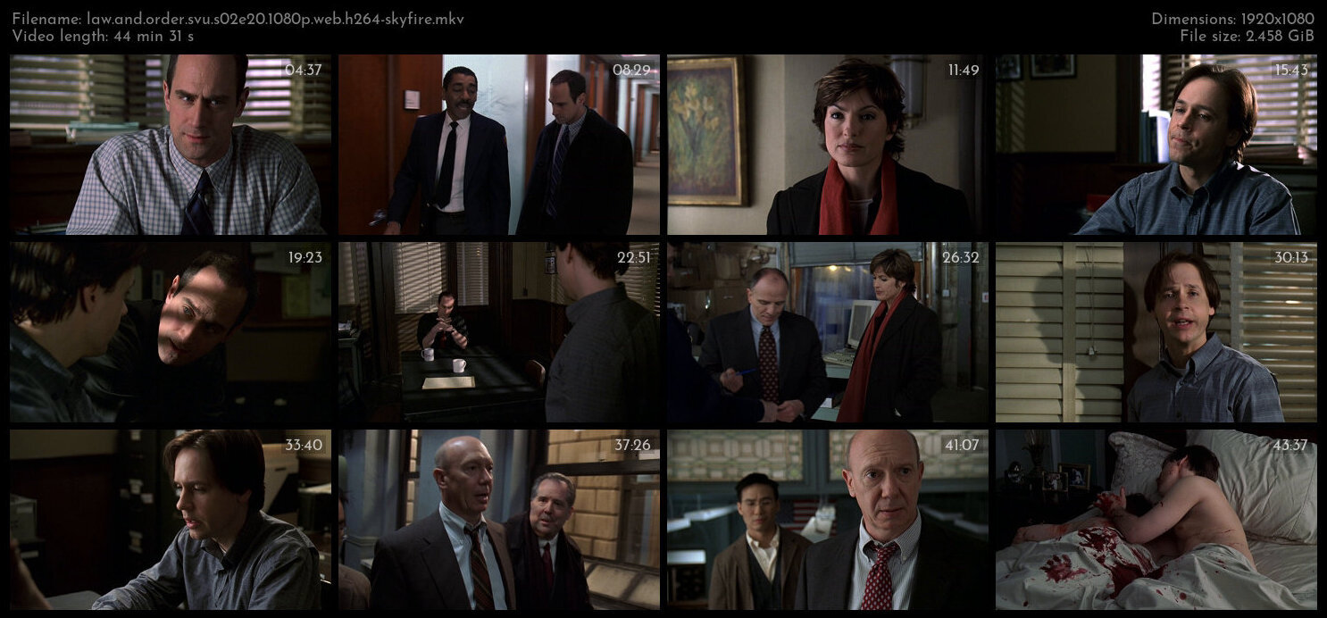 Law And Order SVU S02E20 1080p WEB H264 SKYFiRE TGx