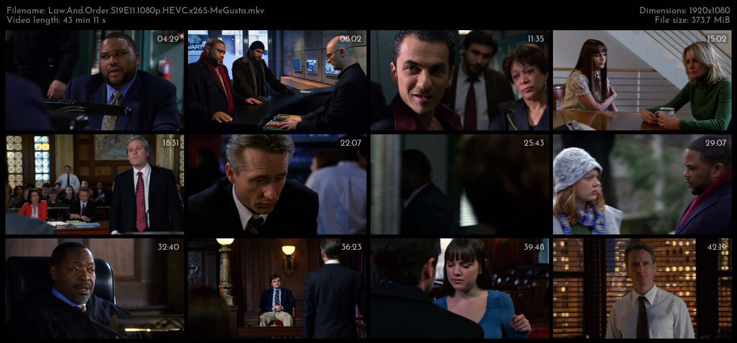 Law And Order S19E11 1080p HEVC x265 MeGusta TGx