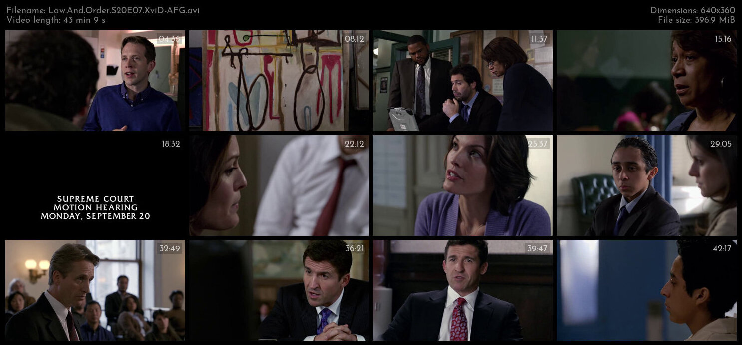 Law And Order S20E07 XviD AFG TGx