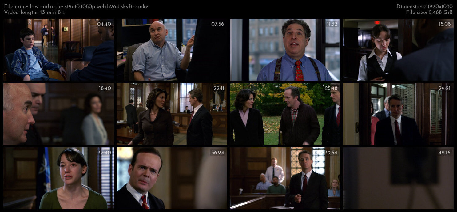 Law And Order S19E10 1080p WEB H264 SKYFiRE TGx