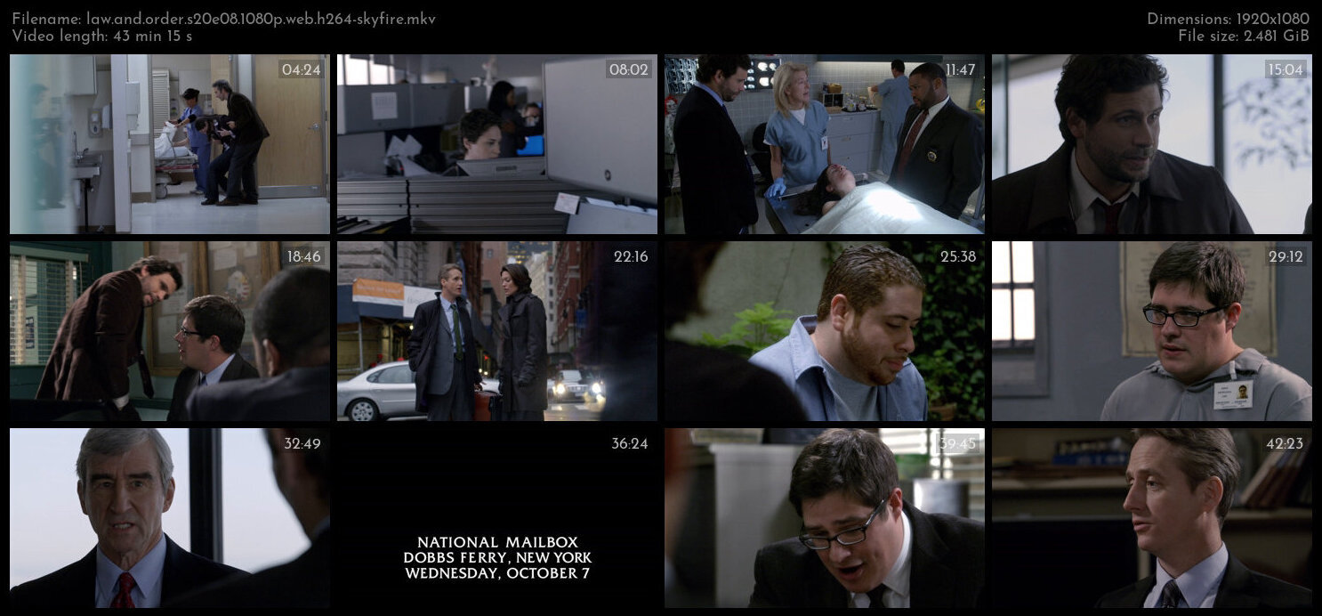 Law And Order S20E08 1080p WEB H264 SKYFiRE TGx