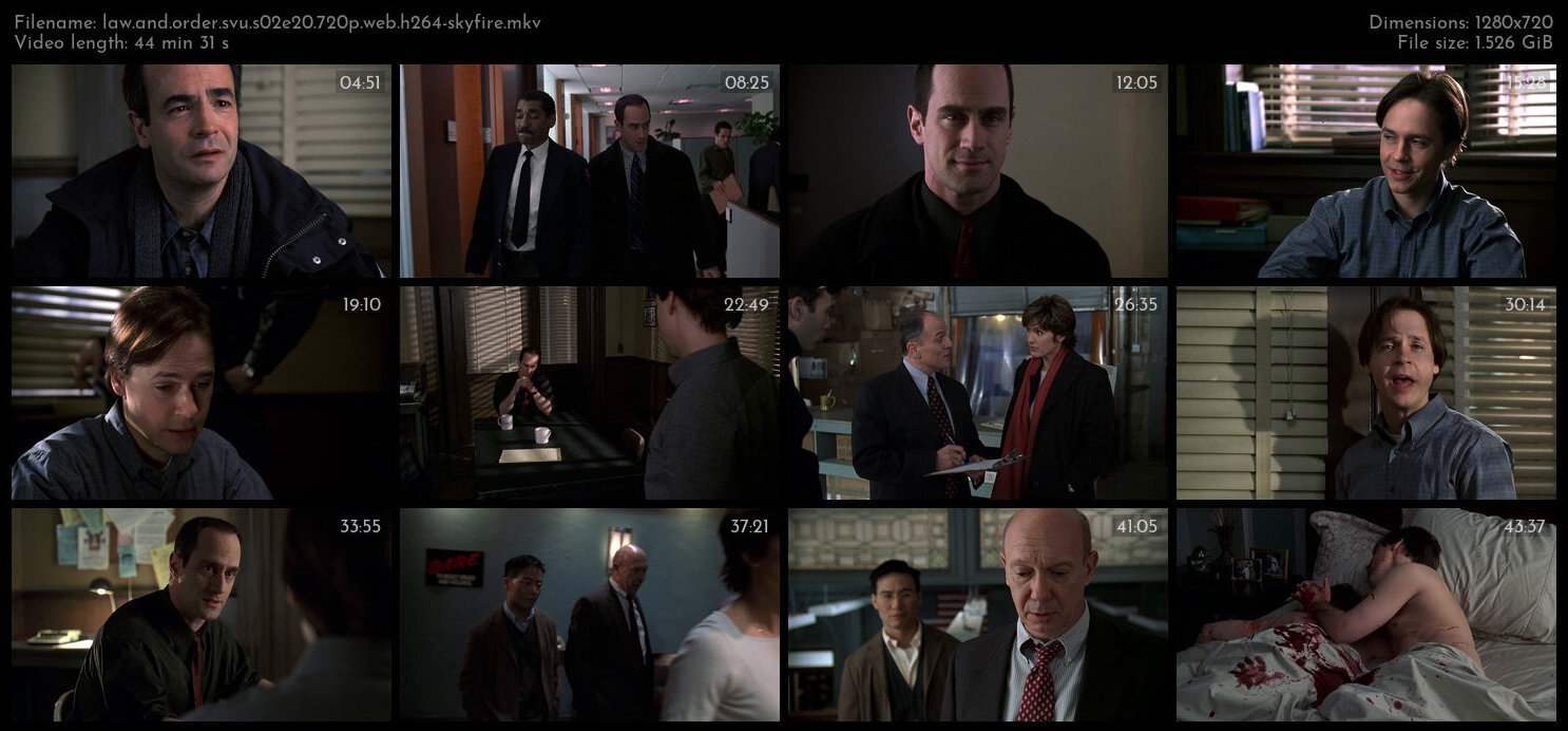 Law And Order SVU S02E20 720p WEB H264 SKYFiRE TGx