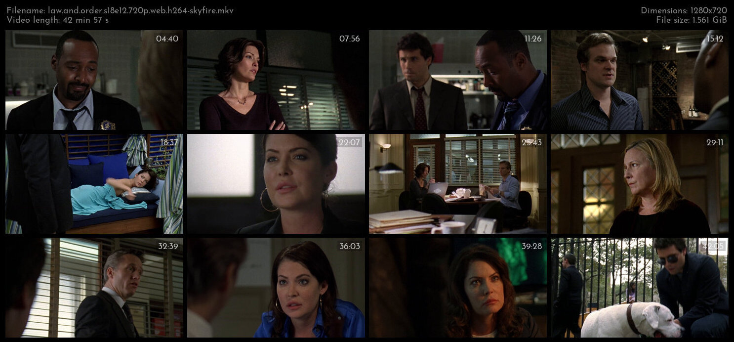 Law And Order S18E12 720p WEB H264 SKYFiRE TGx