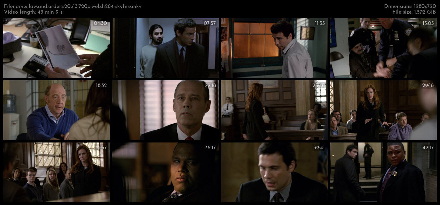 Law And Order S20E13 720p WEB H264 SKYFiRE TGx