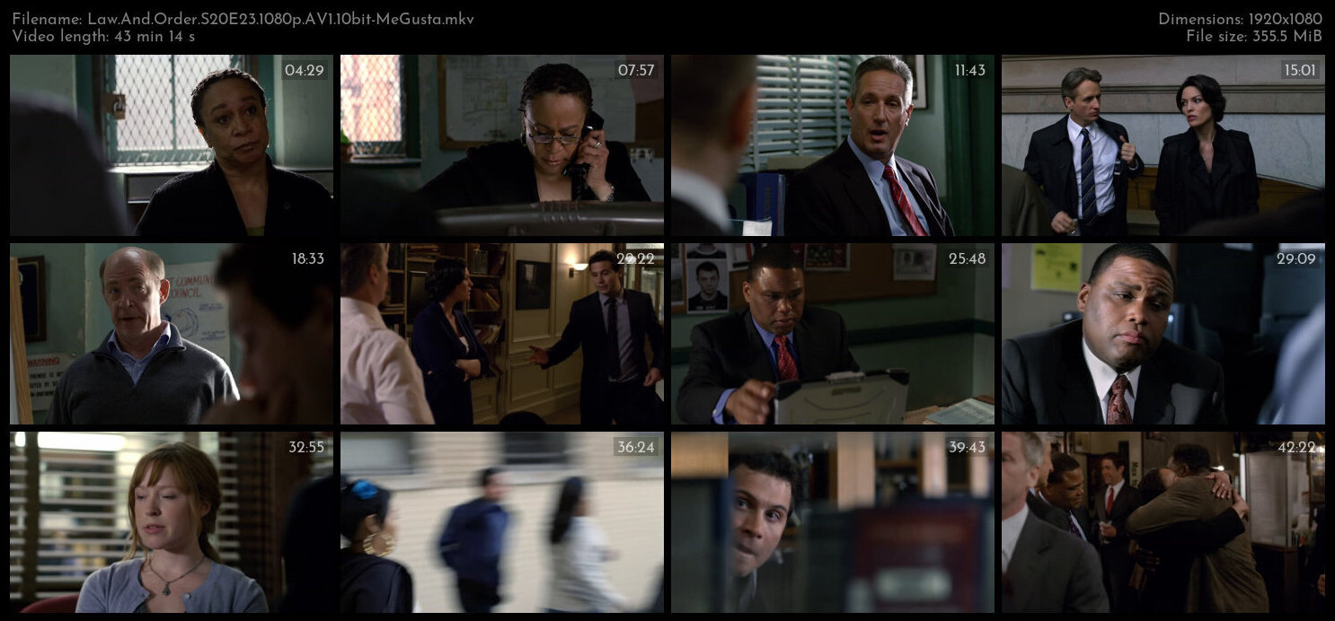 Law And Order S20E23 1080p AV1 10bit MeGusta TGx