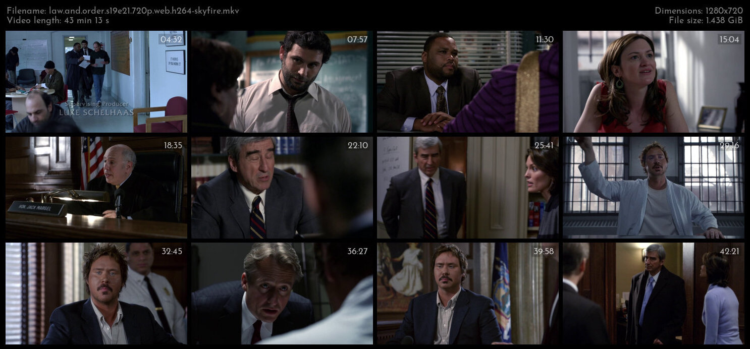 Law And Order S19E21 720p WEB H264 SKYFiRE TGx