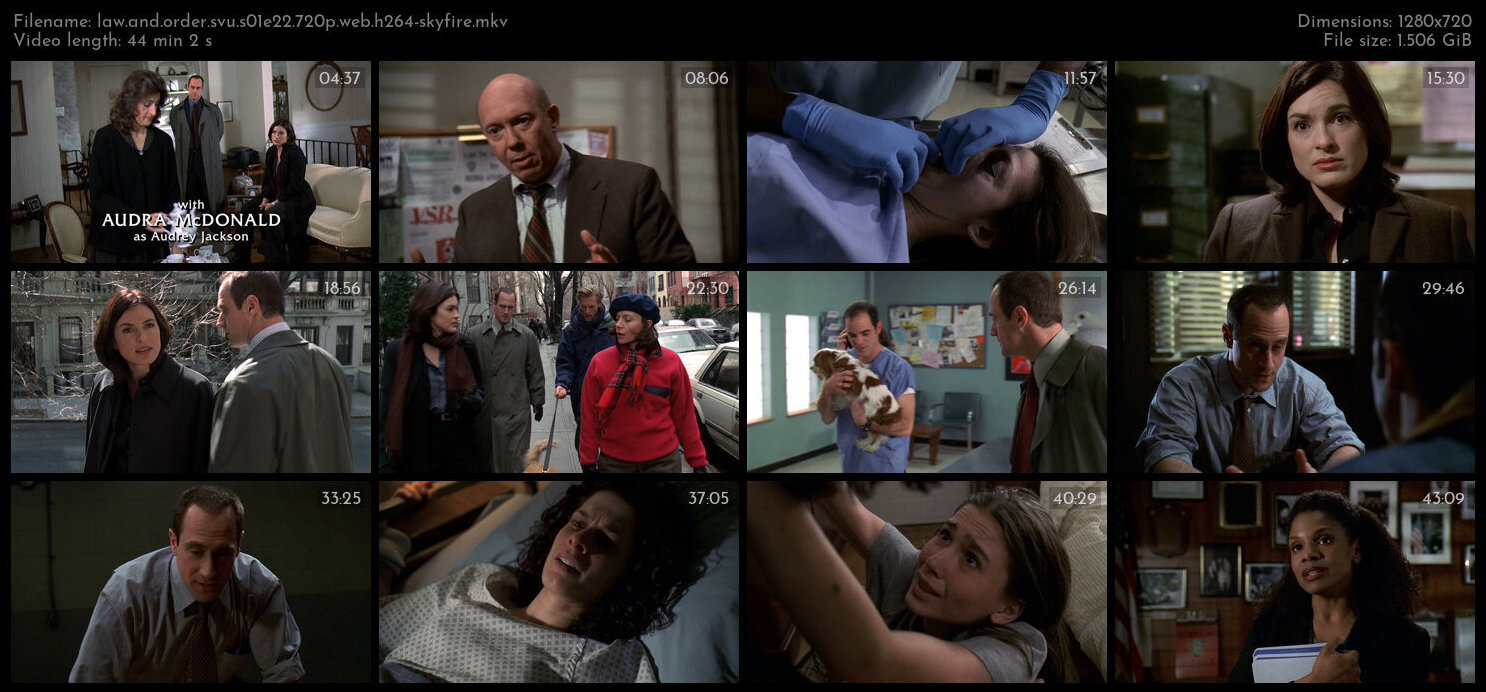 Law And Order SVU S01E22 720p WEB H264 SKYFiRE TGx