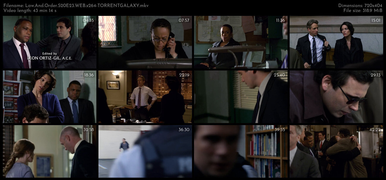 Law And Order S20E23 WEB x264 TORRENTGALAXY