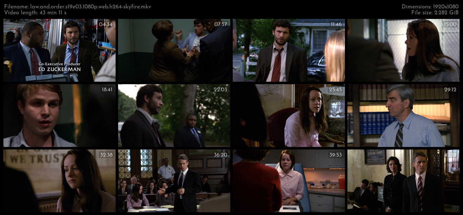 Law And Order S19E03 1080p WEB H264 SKYFiRE TGx