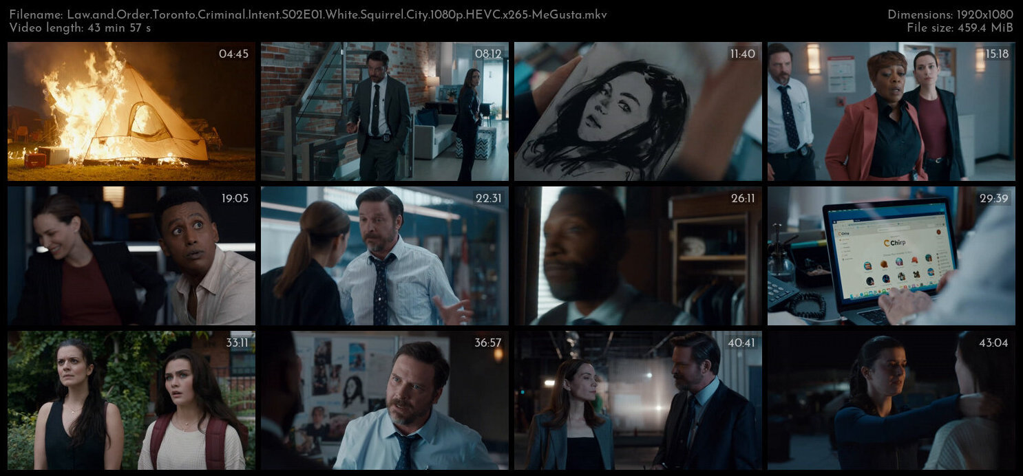 Law and Order Toronto Criminal Intent S02E01 White Squirrel City 1080p HEVC x265 MeGusta TGx