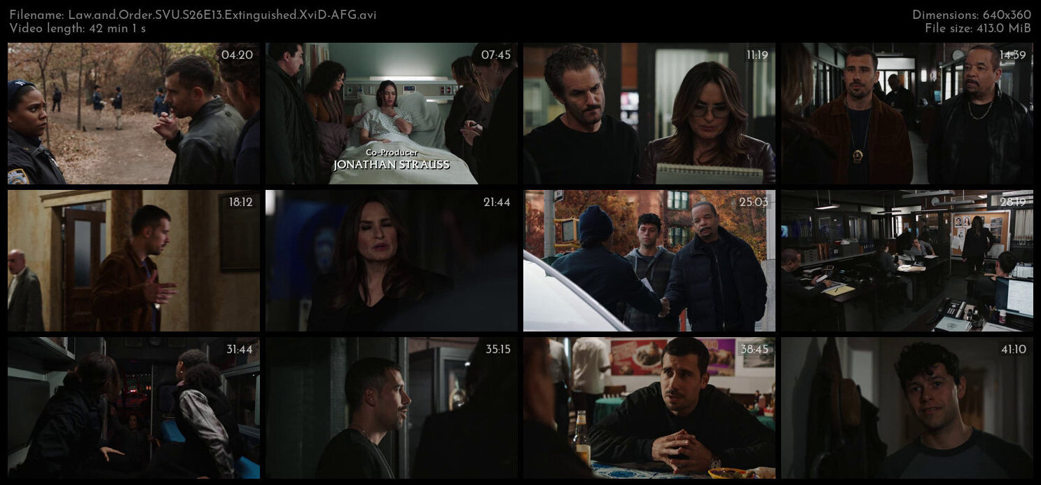 Law and Order SVU S26E13 Extinguished XviD AFG TGx