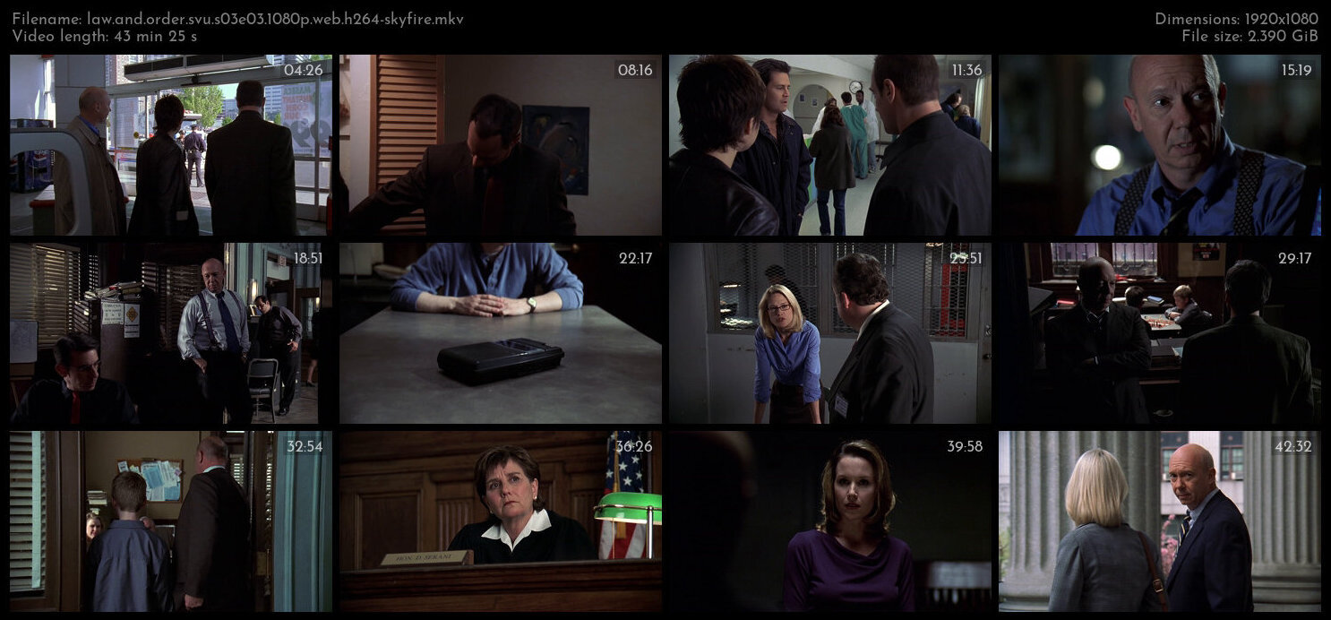 Law And Order SVU S03E03 1080p WEB H264 SKYFiRE TGx