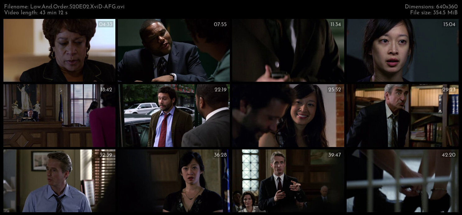 Law And Order S20E02 XviD AFG TGx