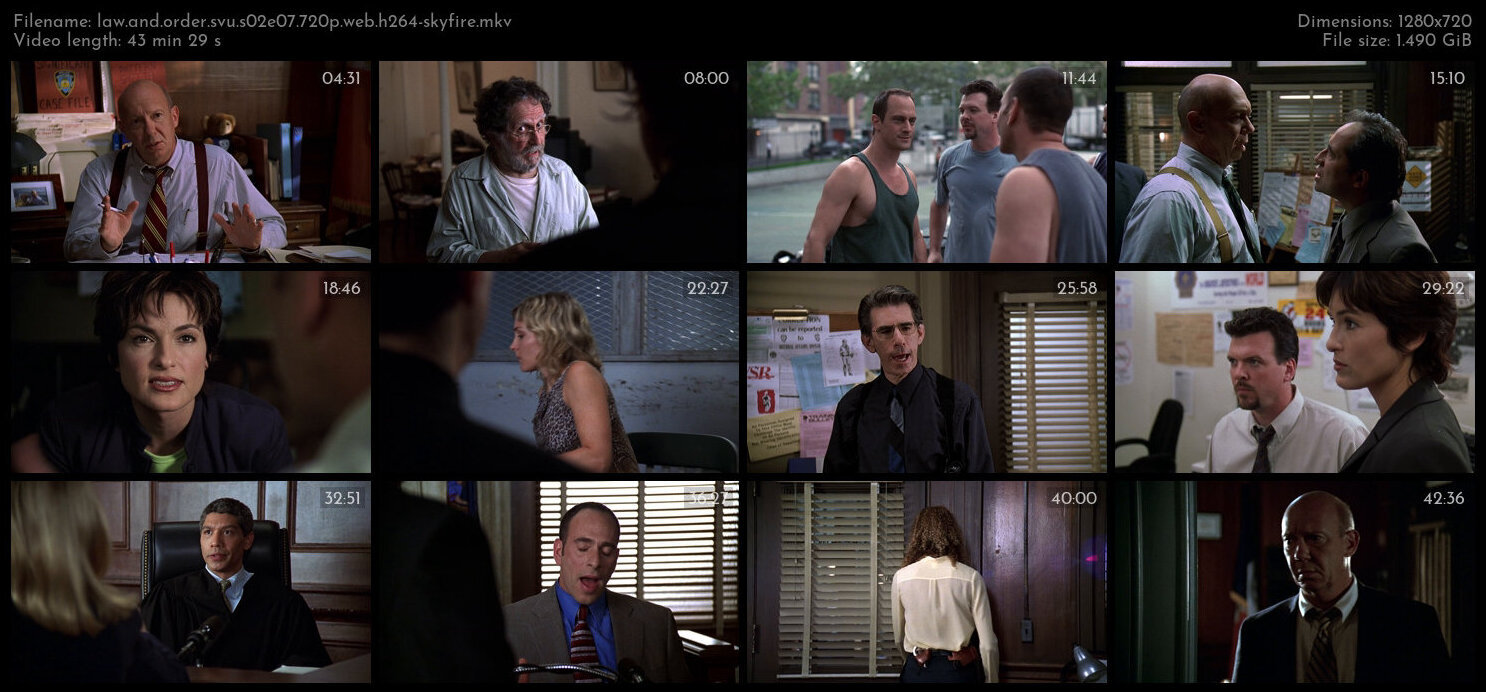 Law And Order SVU S02E07 720p WEB H264 SKYFiRE TGx