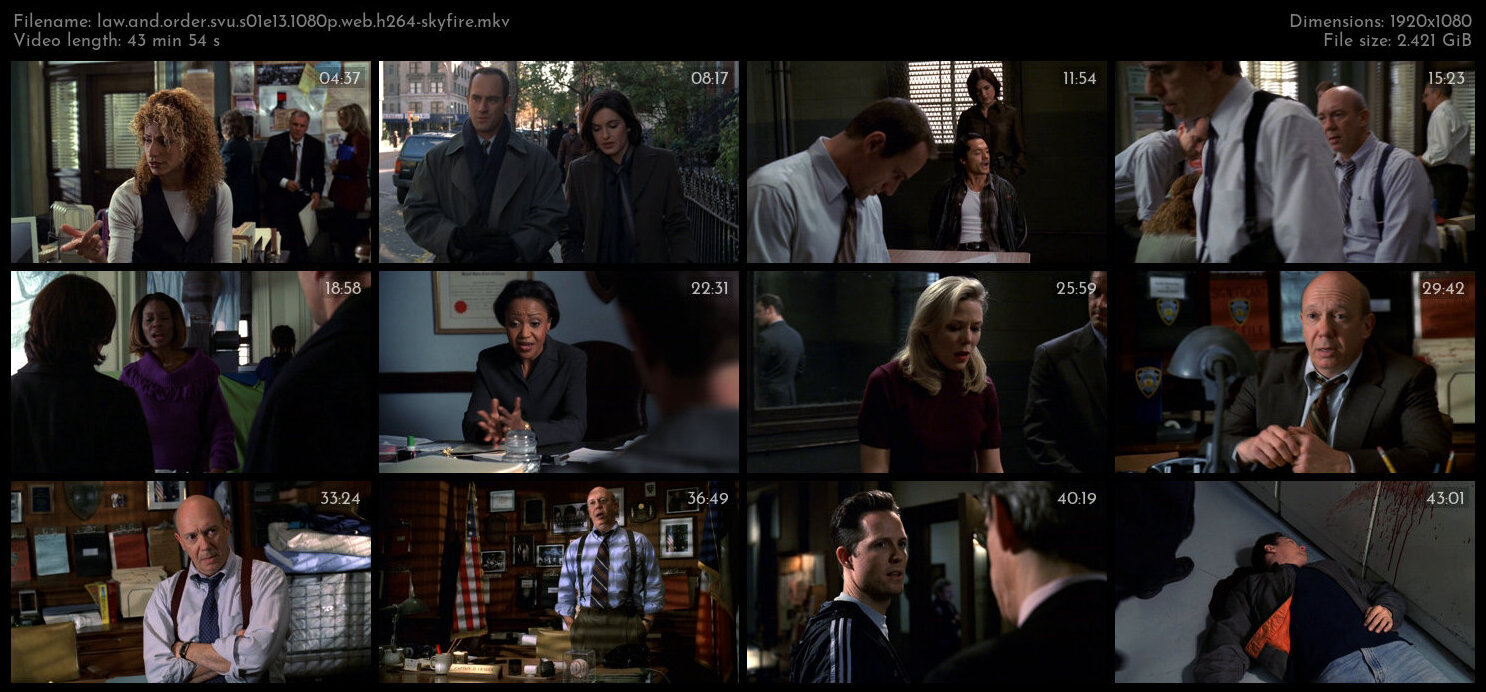 Law And Order SVU S01E13 1080p WEB H264 SKYFiRE TGx