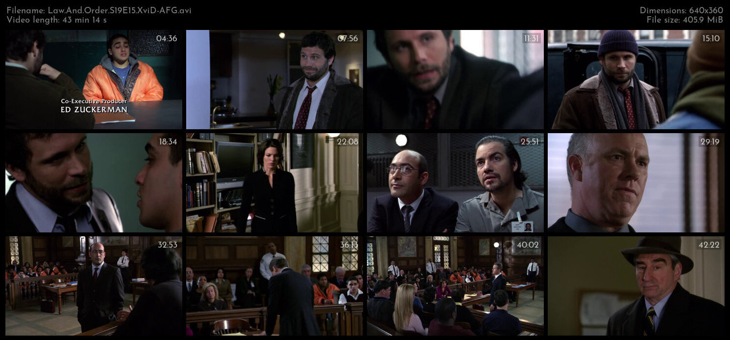 Law And Order S19E15 XviD AFG TGx