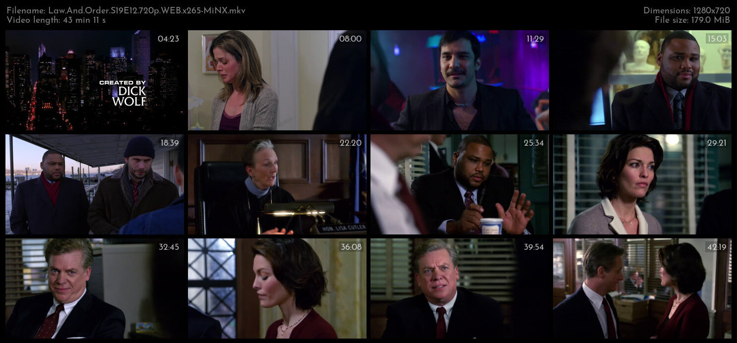 Law And Order S19E12 720p WEB x265 MiNX TGx