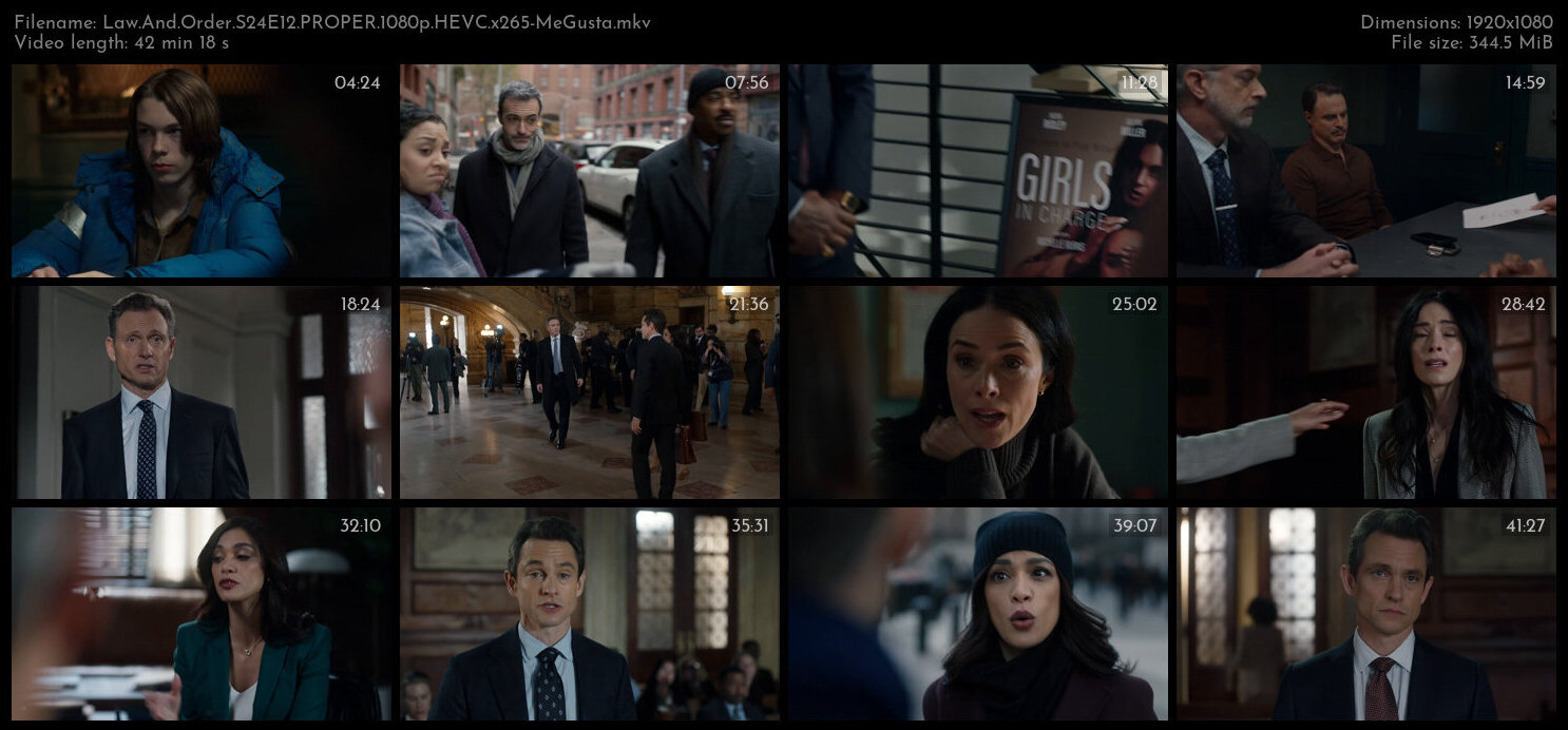 Law And Order S24E12 PROPER 1080p HEVC x265 MeGusta TGx