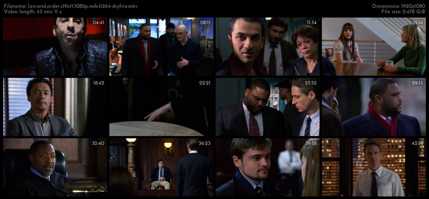 Law And Order S19E11 1080p WEB H264 SKYFiRE TGx