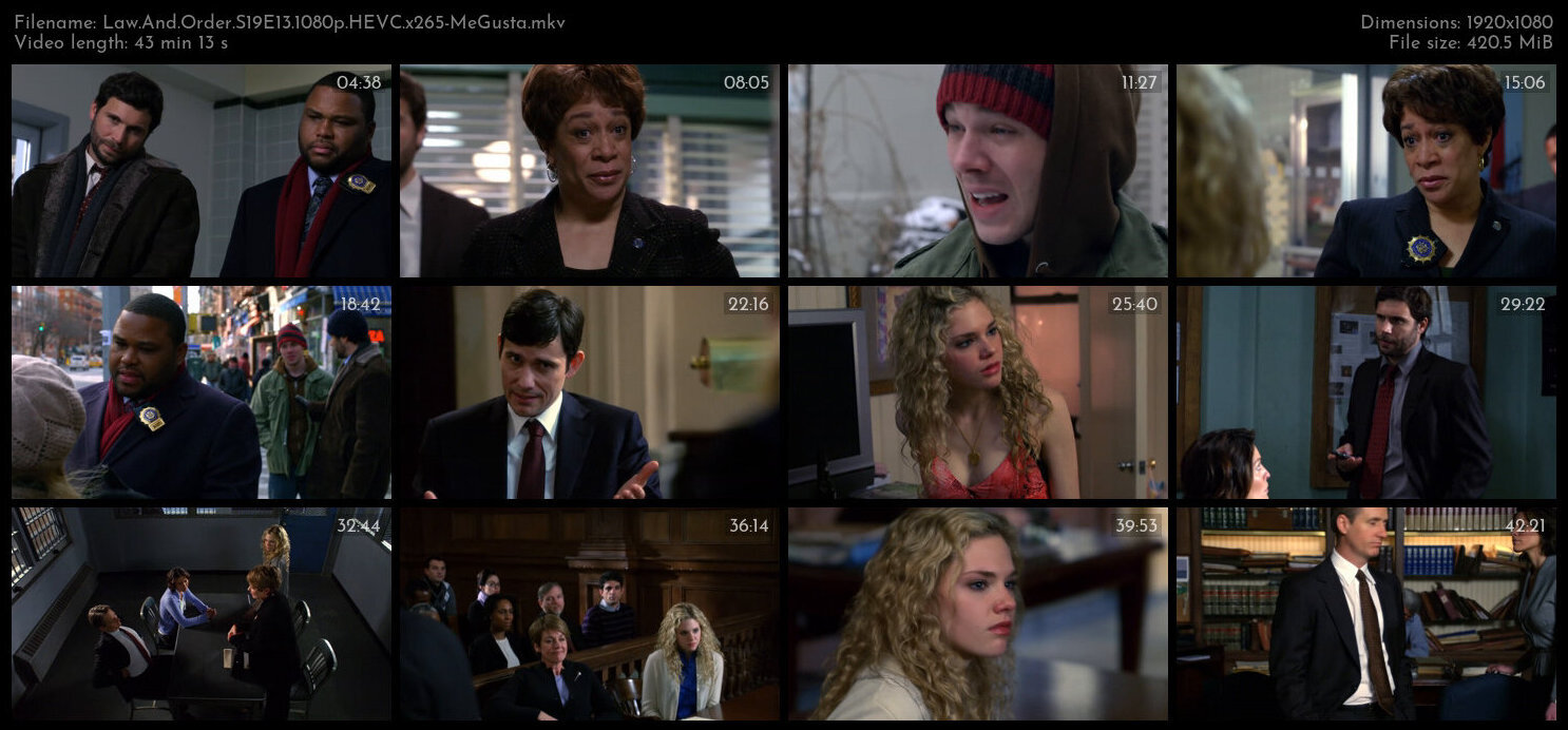 Law And Order S19E13 1080p HEVC x265 MeGusta TGx