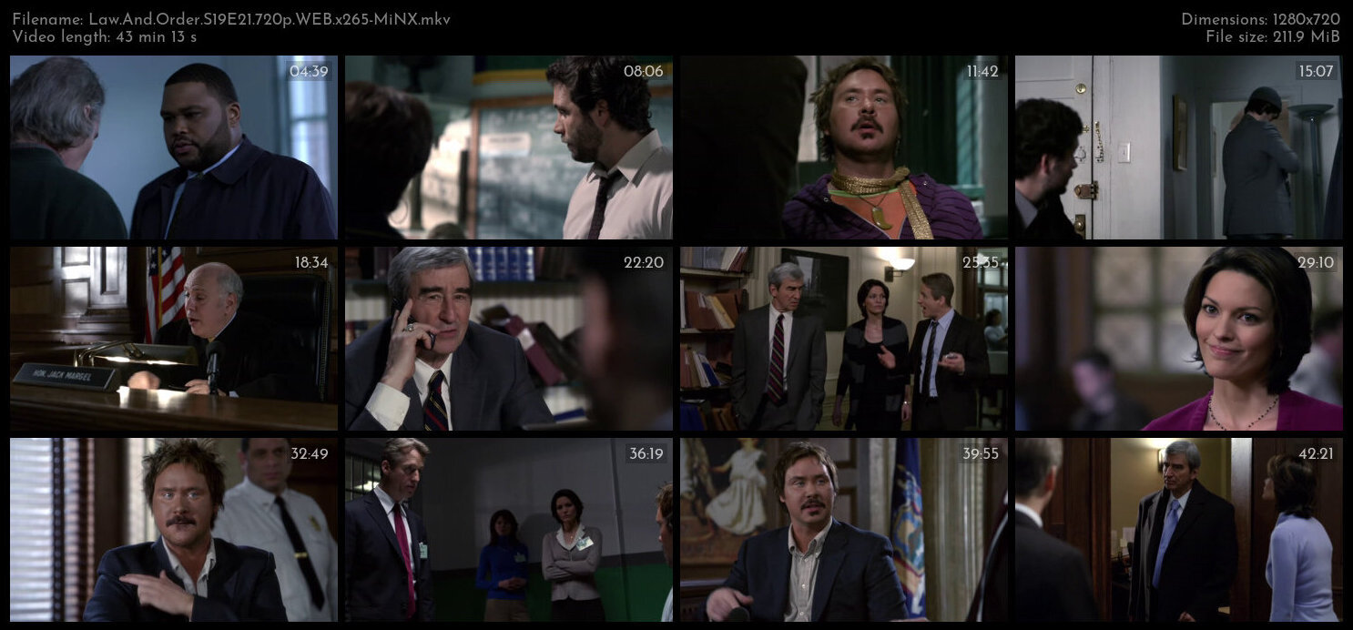 Law And Order S19E21 720p WEB x265 MiNX TGx