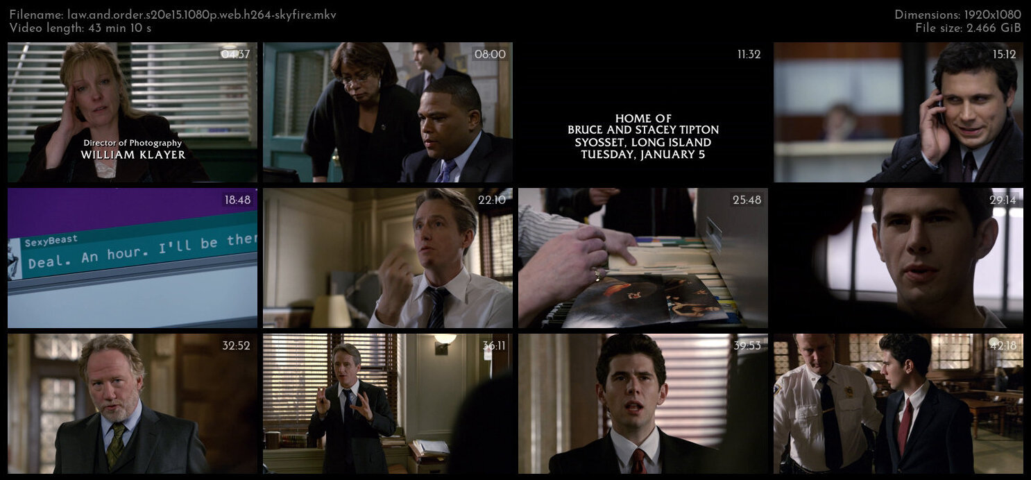 Law And Order S20E15 1080p WEB H264 SKYFiRE TGx