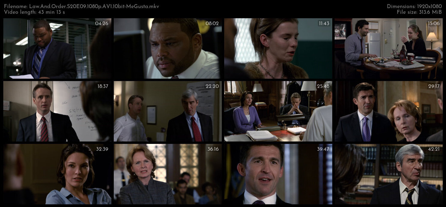 Law And Order S20E09 1080p AV1 10bit MeGusta TGx