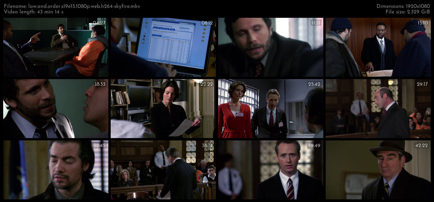 Law And Order S19E15 1080p WEB H264 SKYFiRE TGx