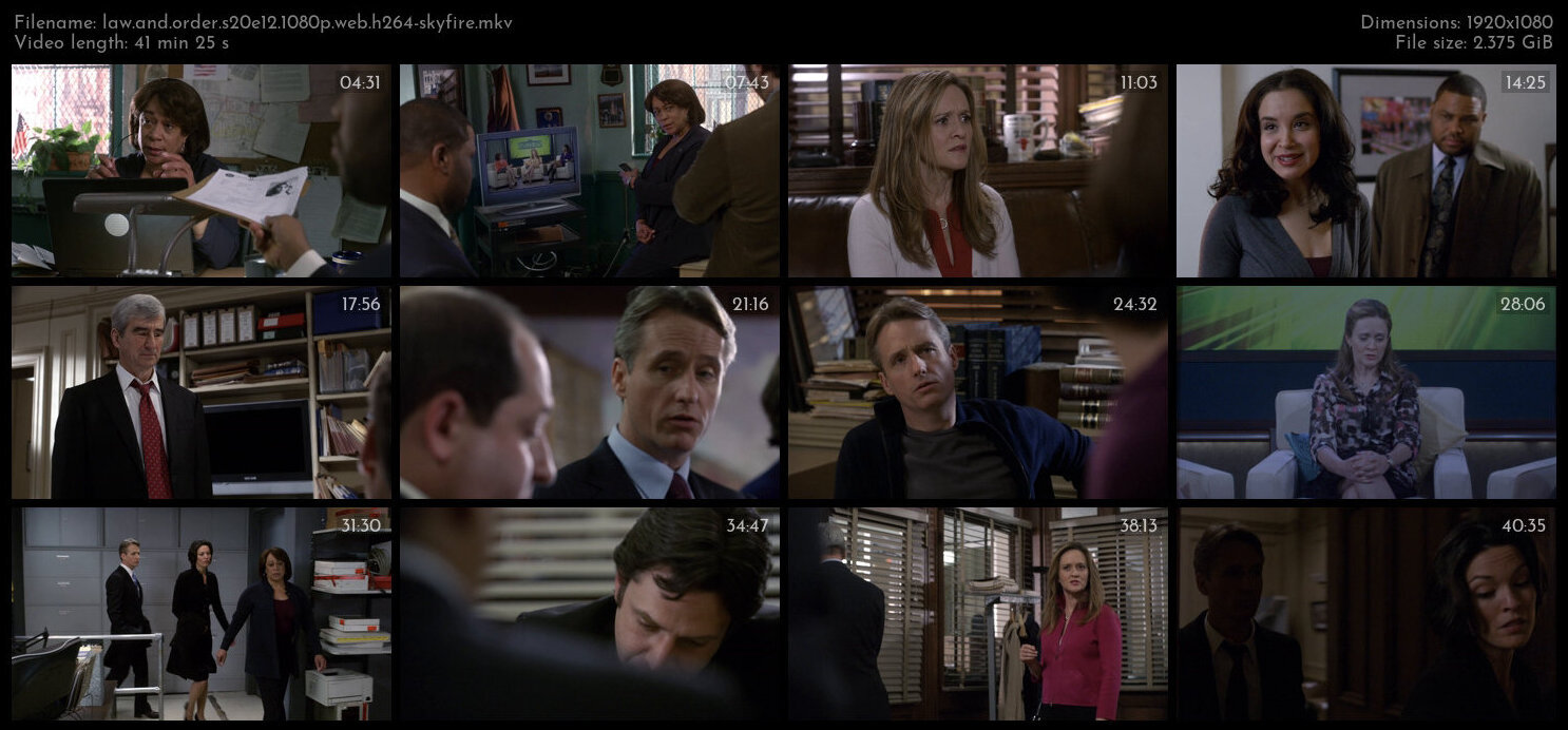 Law And Order S20E12 1080p WEB H264 SKYFiRE TGx