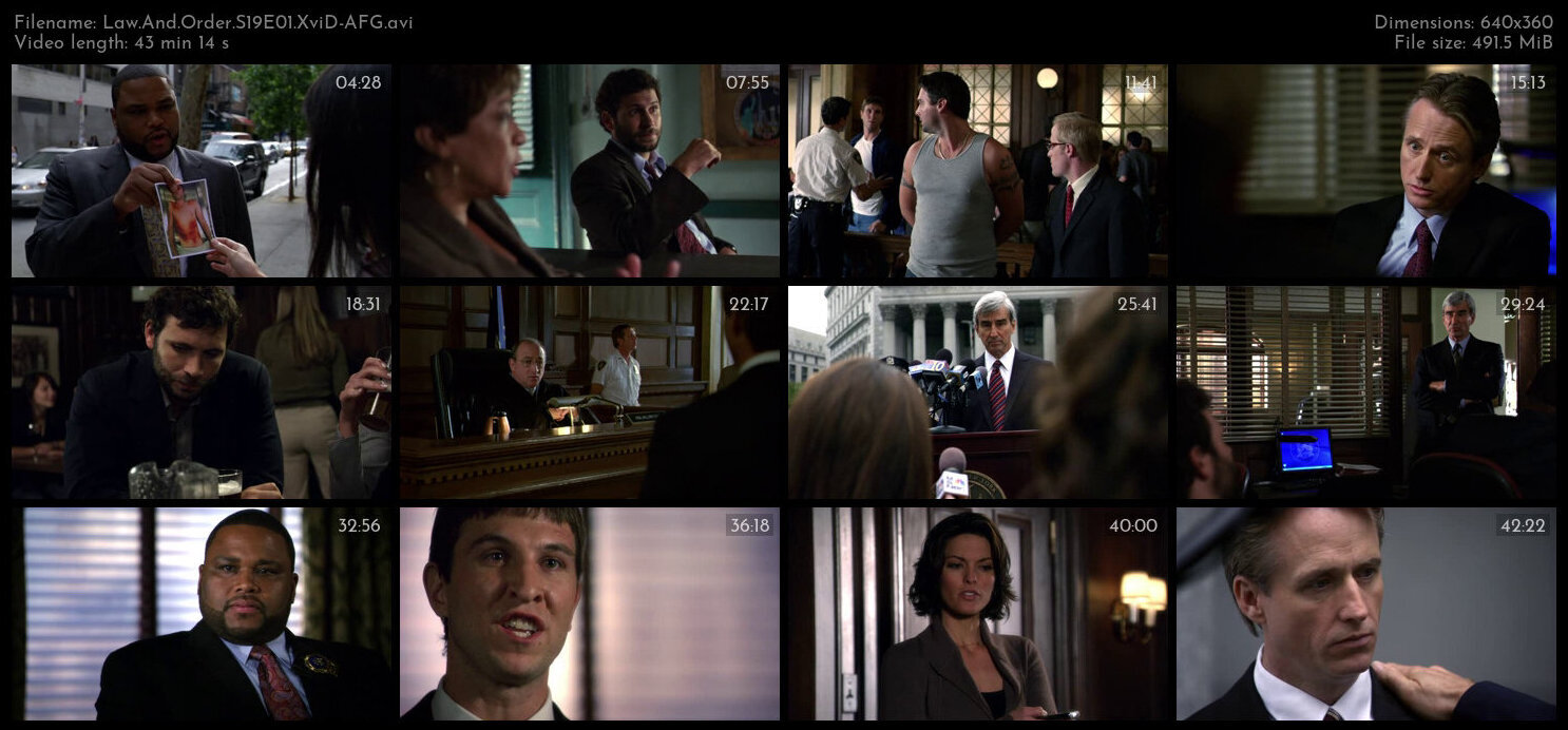 Law And Order S19E01 XviD AFG TGx