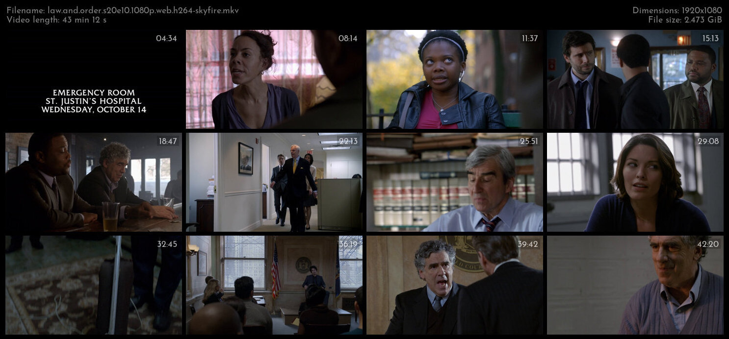 Law And Order S20E10 1080p WEB H264 SKYFiRE TGx