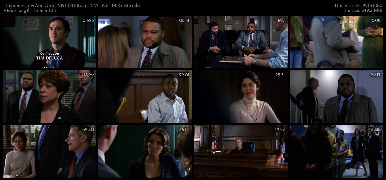 Law And Order S19E08 1080p HEVC x265 MeGusta TGx