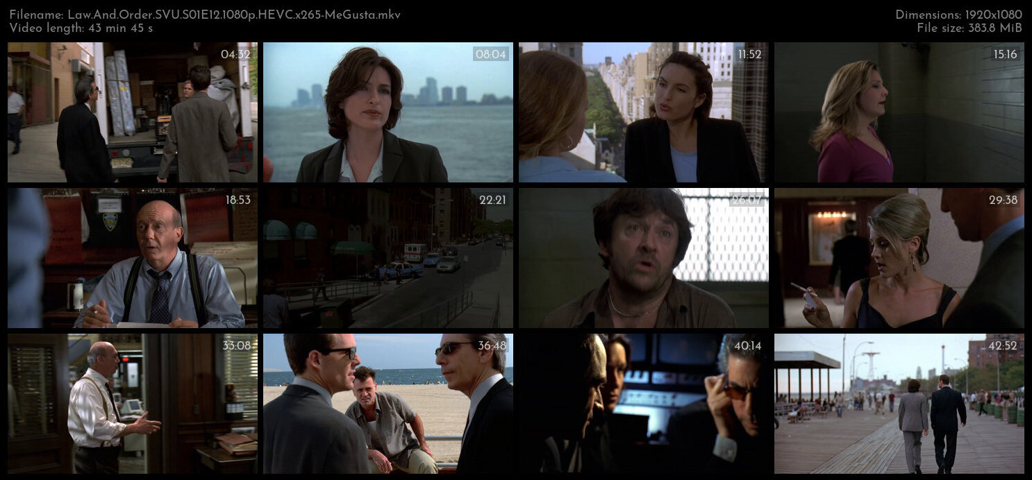 Law And Order SVU S01E12 1080p HEVC x265 MeGusta TGx