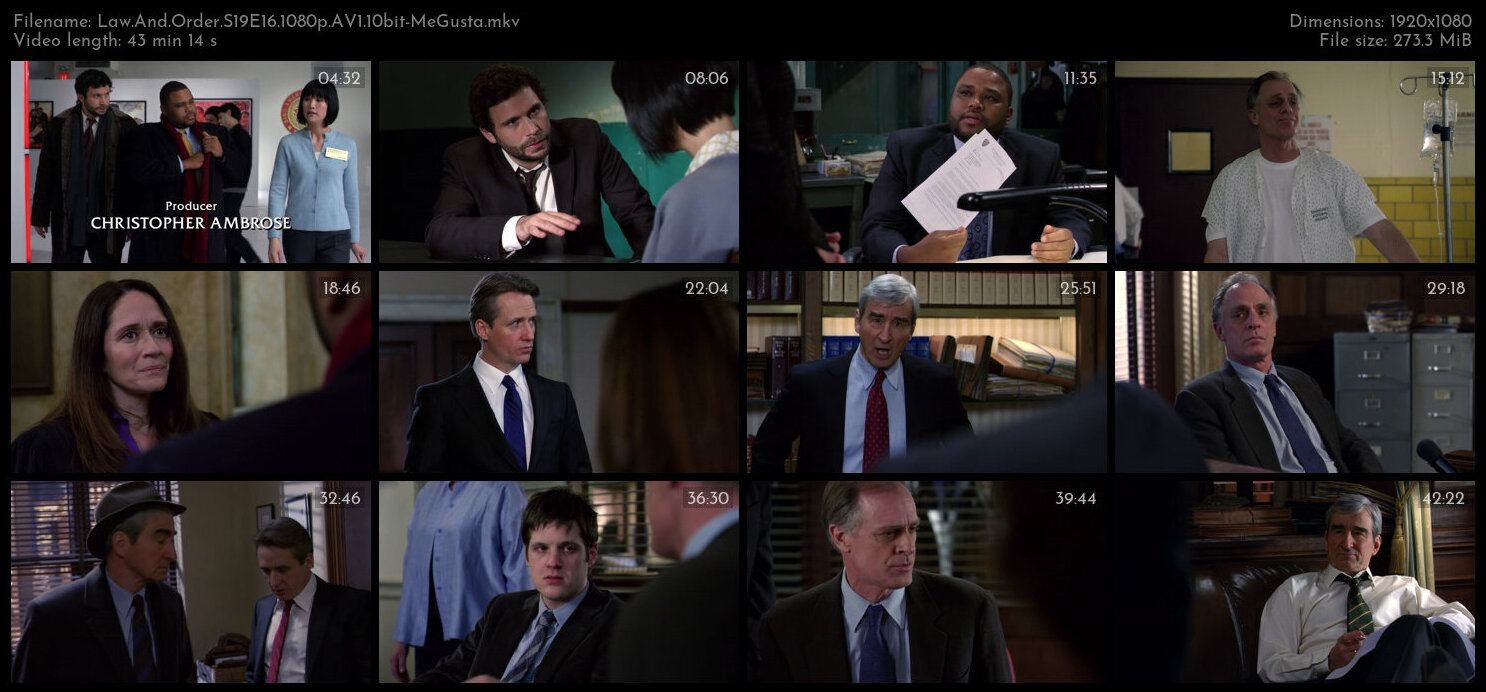 Law And Order S19E16 1080p AV1 10bit MeGusta TGx