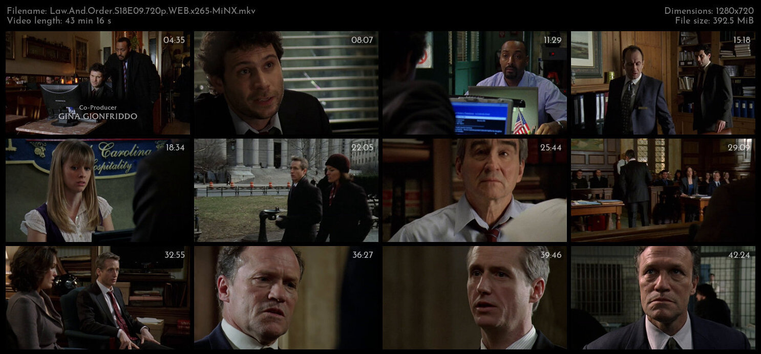 Law And Order S18E09 720p WEB x265 MiNX TGx