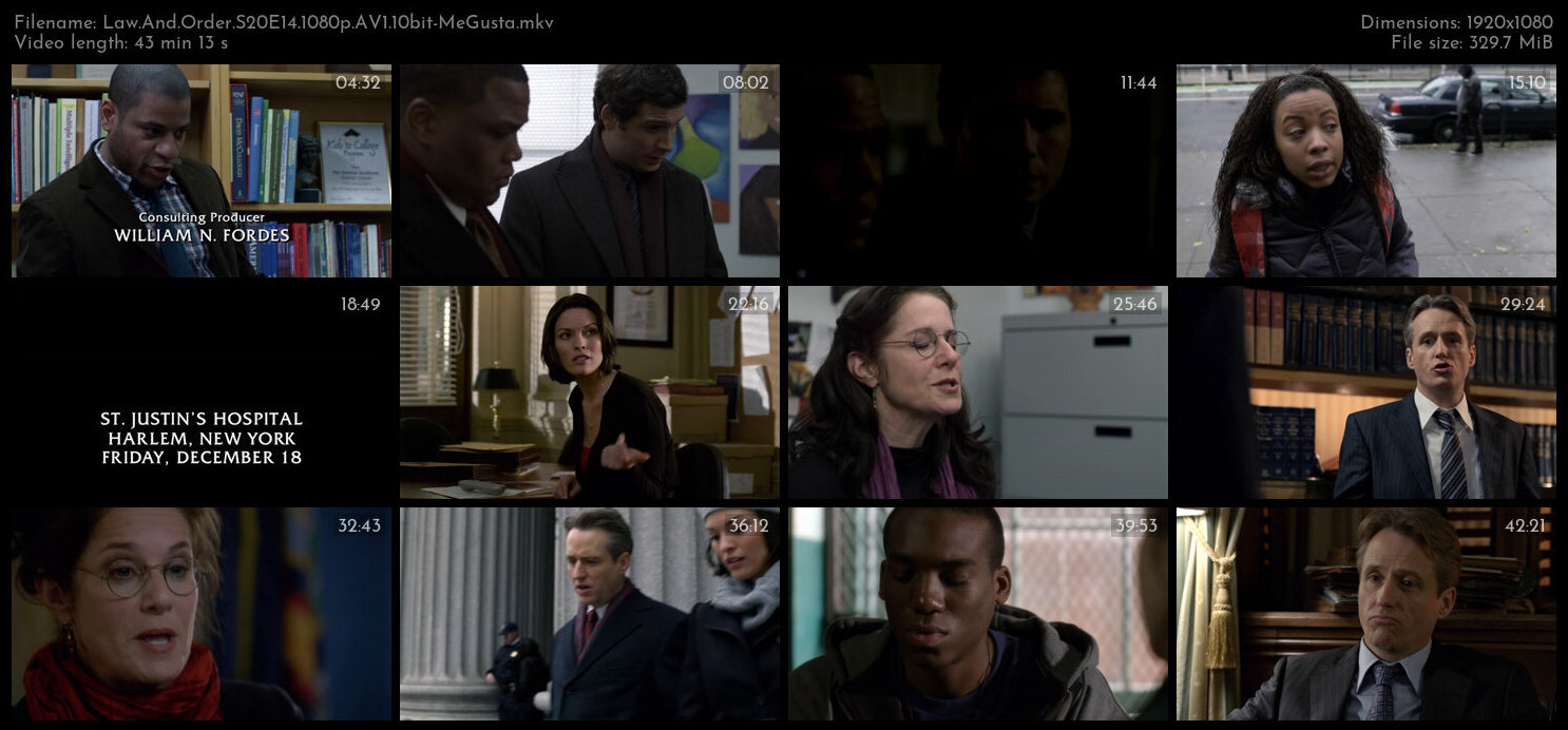 Law And Order S20E14 1080p AV1 10bit MeGusta TGx