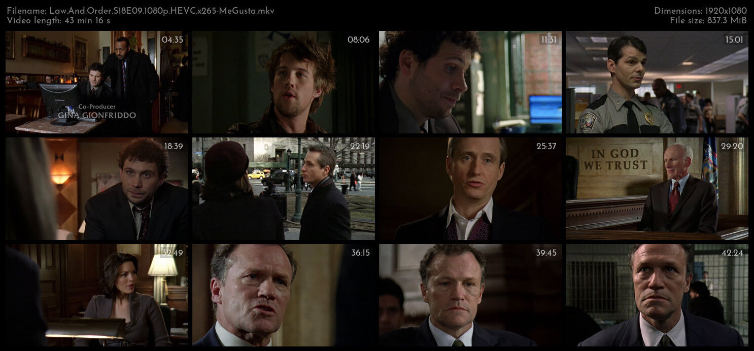 Law And Order S18E09 1080p HEVC x265 MeGusta TGx