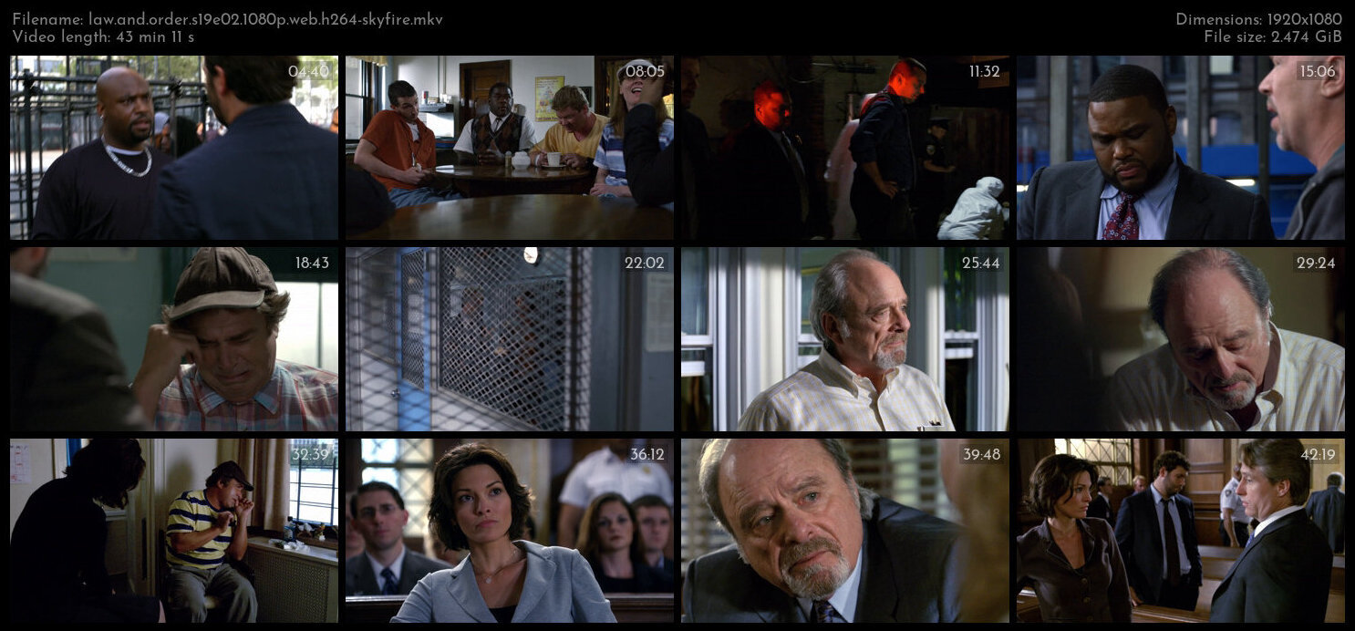 Law And Order S19E02 1080p WEB H264 SKYFiRE TGx