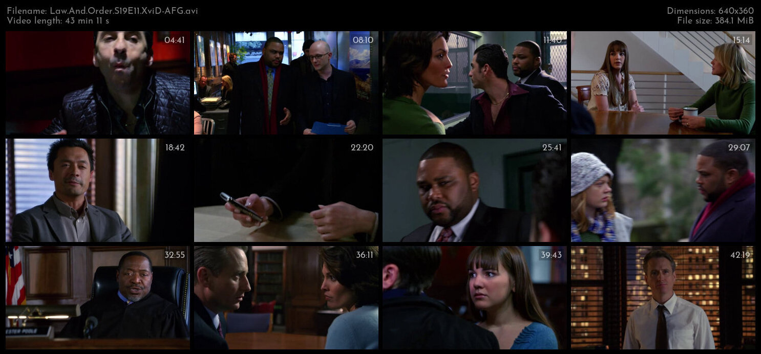 Law And Order S19E11 XviD AFG TGx