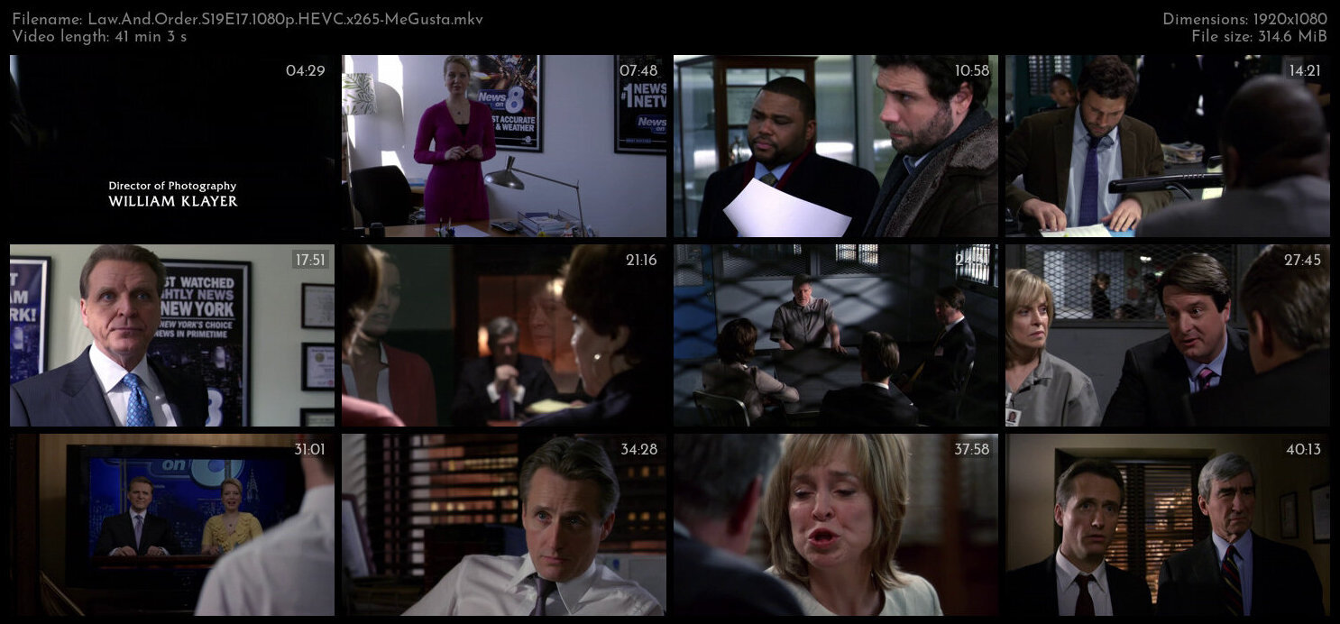 Law And Order S19E17 1080p HEVC x265 MeGusta TGx