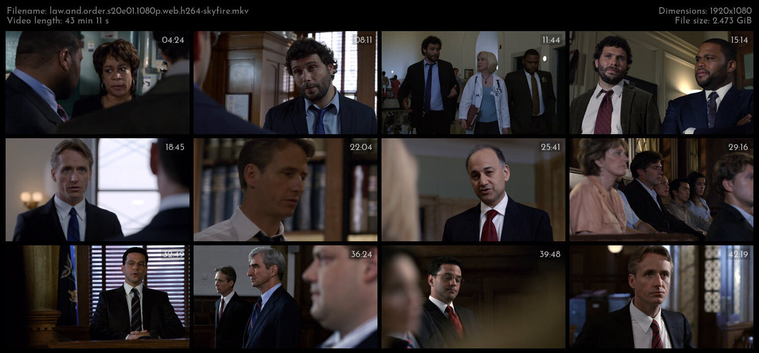 Law And Order S20E01 1080p WEB H264 SKYFiRE TGx