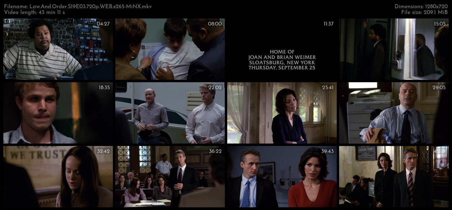 Law And Order S19E03 720p WEB x265 MiNX TGx