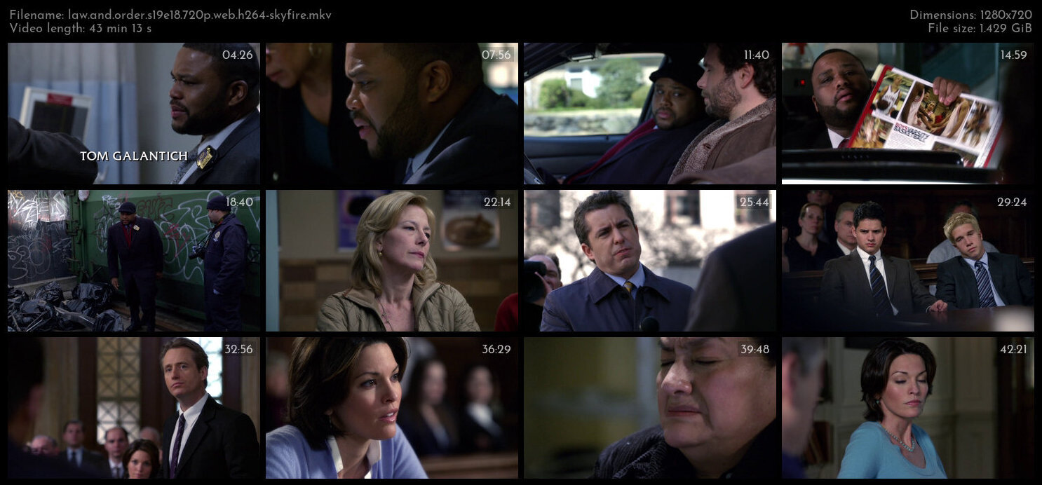 Law And Order S19E18 720p WEB H264 SKYFiRE TGx