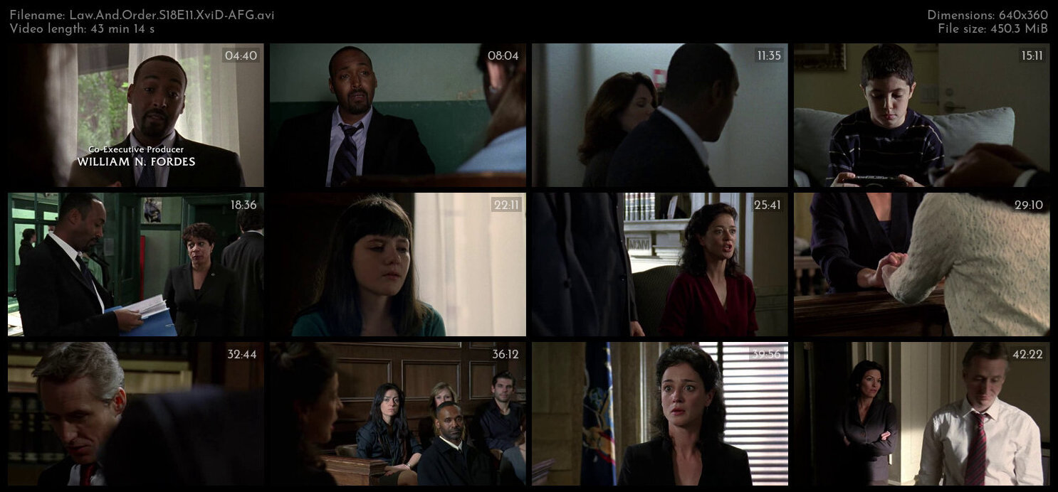 Law And Order S18E11 XviD AFG TGx