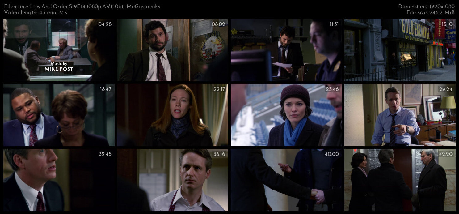 Law And Order S19E14 1080p AV1 10bit MeGusta TGx