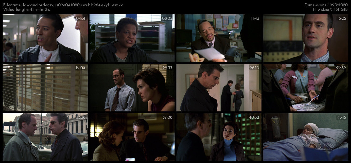 Law And Order SVU S02E04 1080p WEB H264 SKYFiRE TGx