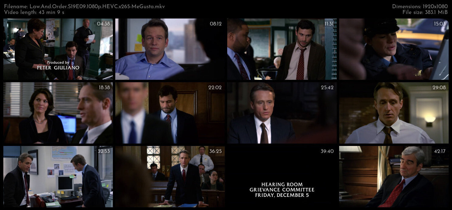 Law And Order S19E09 1080p HEVC x265 MeGusta TGx