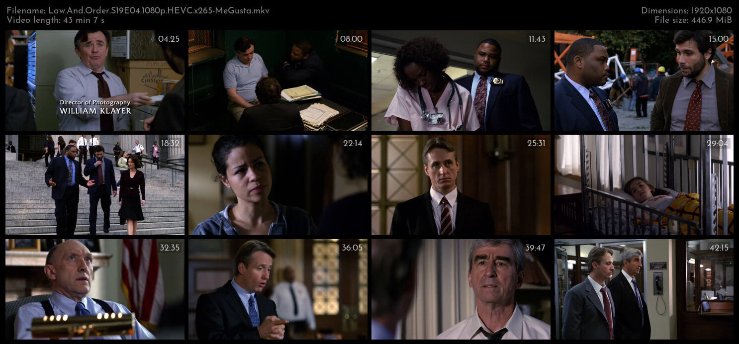 Law And Order S19E04 1080p HEVC x265 MeGusta TGx