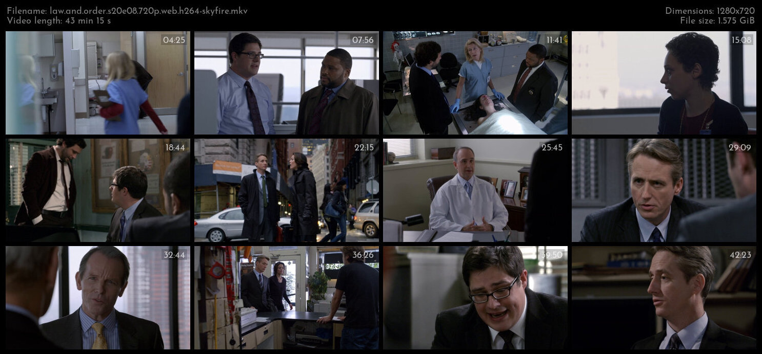 Law And Order S20E08 720p WEB H264 SKYFiRE TGx